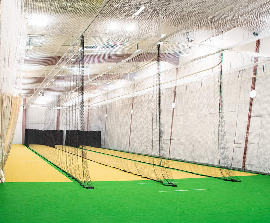 Cricket Training Session